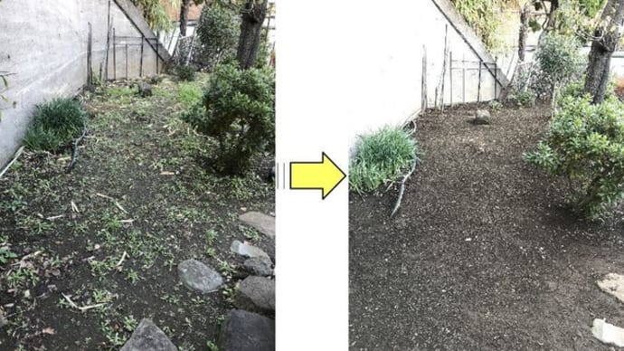 先日草むしり作業した個人邸年内に敷地内きれいにして欲しいとのご依頼