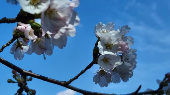「ステキな思い出を抱いて」