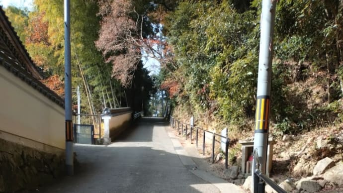 二度目の角尾山。猪か熊か人間か分からんけど。