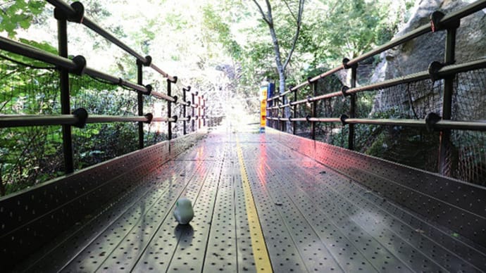 昇仙峡遊歩道に迂回路!?