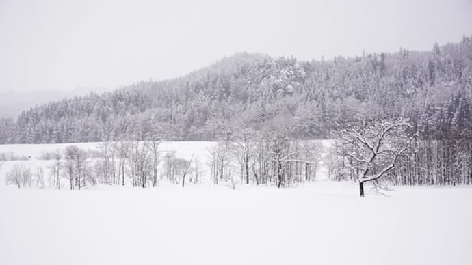 白馬村　姫川沿いの雪景色