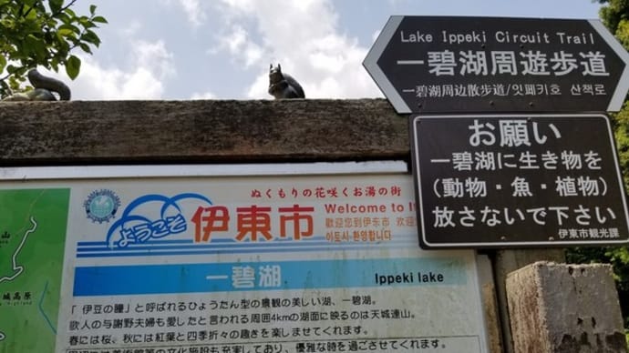 クリンと一泊旅行③