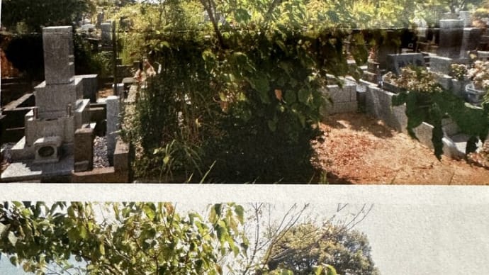 都立八柱霊園からお手紙が・・・・・
