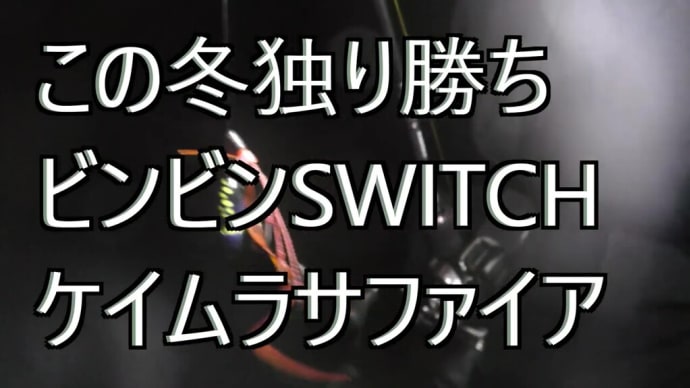 冷え込んでから独り勝ちアイテム🎣ビンビンSWITCHケイムラサファイア爆る❕