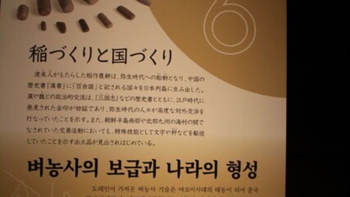 伽耶展(16)
