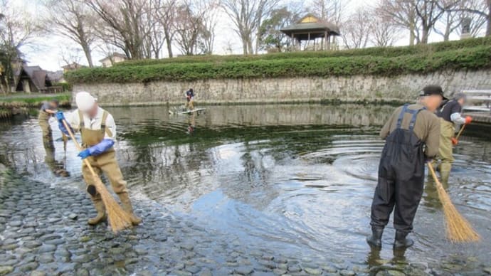鮭公園の大池を清掃しました!