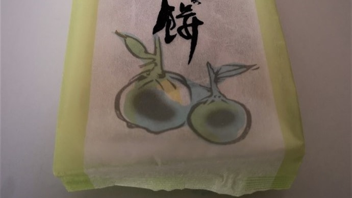 グルメ345食 『京都・鶴屋𠮷信の 「柚餅」』