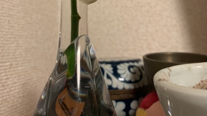 マグノリアココ オオヤマ蓮華の香りについて