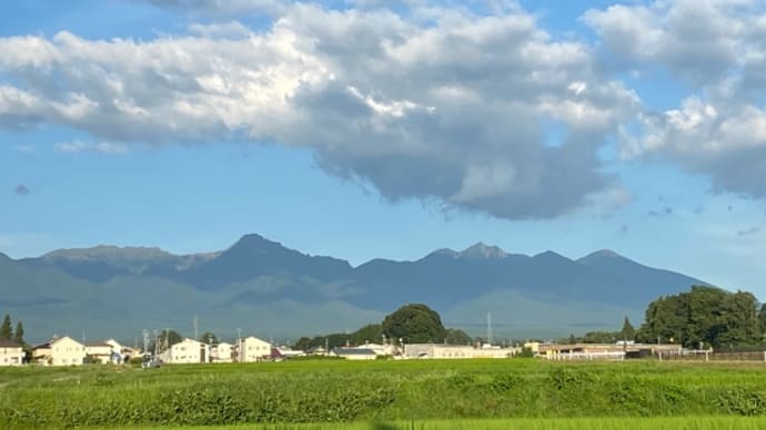 夏!樽生ビール、順調に替わってます