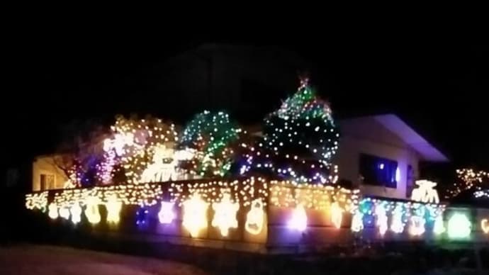 ♪ 点った! 『2021金つなぎ 逝者鎮魂生者安寧 祈りの電飾』、 1万6000球超が…