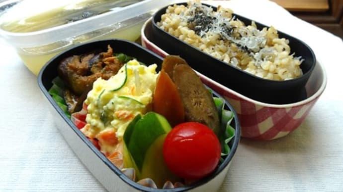 ツナの麻婆ナスのお弁当と、ソーイングでミニポーチ
