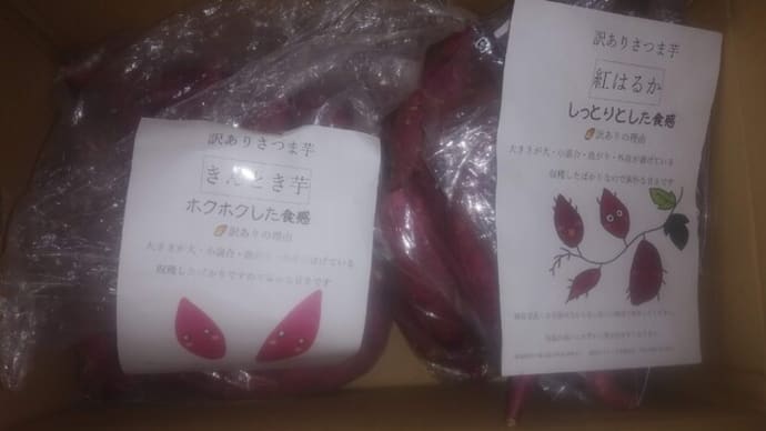 ふるさと納税 さつまいも ダッチオーブンで