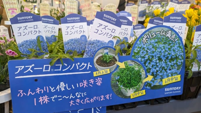 〜ふんわり〜