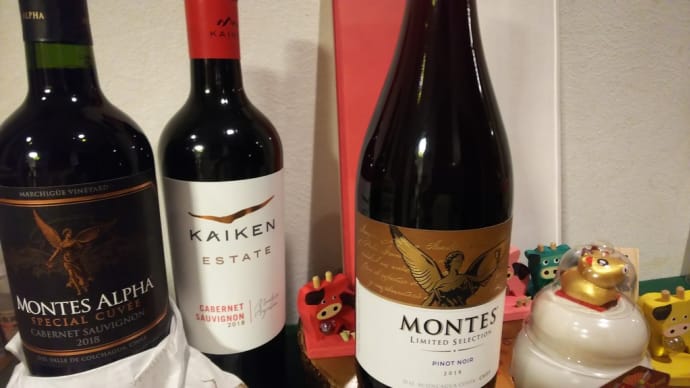 成人の日を想い、おうちワインセット♪
