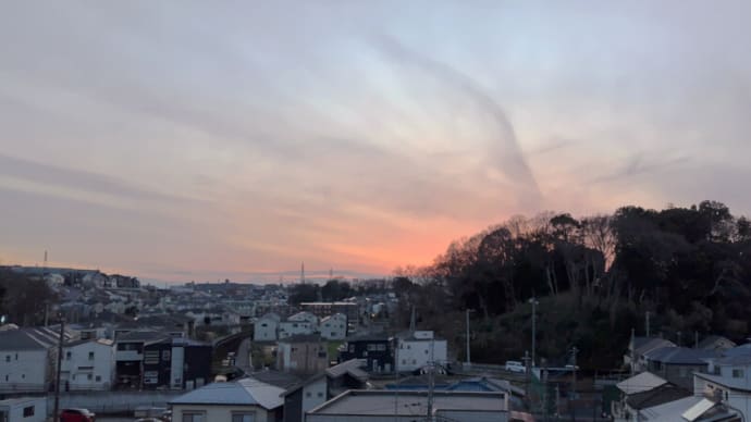 02月24日 キャベツをコンソメで煮た。