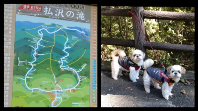 檜原村(払沢の滝)