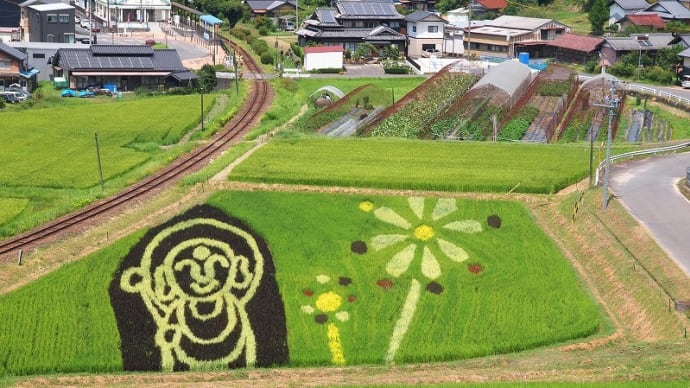 田んぼdeアート 2023
