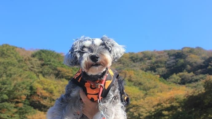 どこ行く?箱根に行こう!