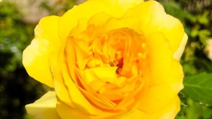 10月も後半の”ぴ”・・🍂🐥♬