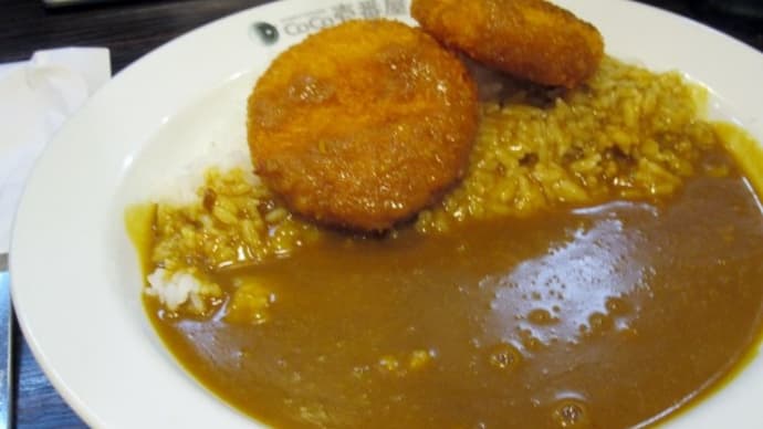 やっぱり涙、「河連法眼館の段」。そして帰ってきました