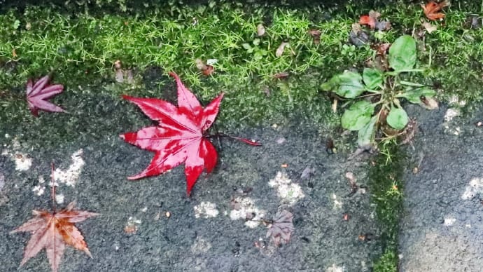 蒸し暑い風