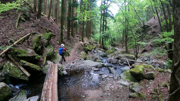 【完全動画あり】ちょっと頑張る！大人の山旅　麗しの沢森「篠井山」