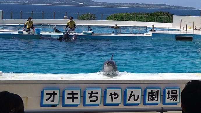 美ら海水族館 海洋博公園