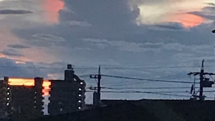 毎日暑いです・・・。
