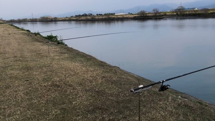 3月15日の鯉釣り