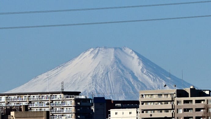02月19日 雑用を片付けた日。