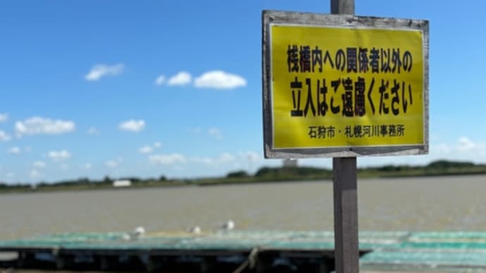 BGMは 若者のすべて