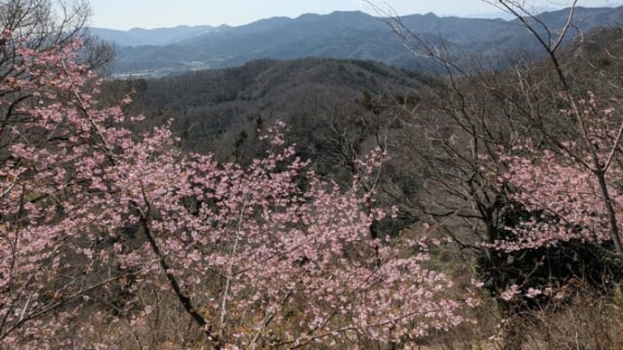 2日続けて低山ハイキングー石尊山(小川町)と鐘撞堂山(寄居町)