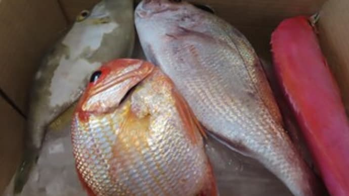 魚の恩は魚で返す？！
