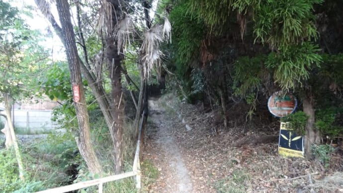 2020-09-29 京見山~姫路 小溝筋で立ち吞み。