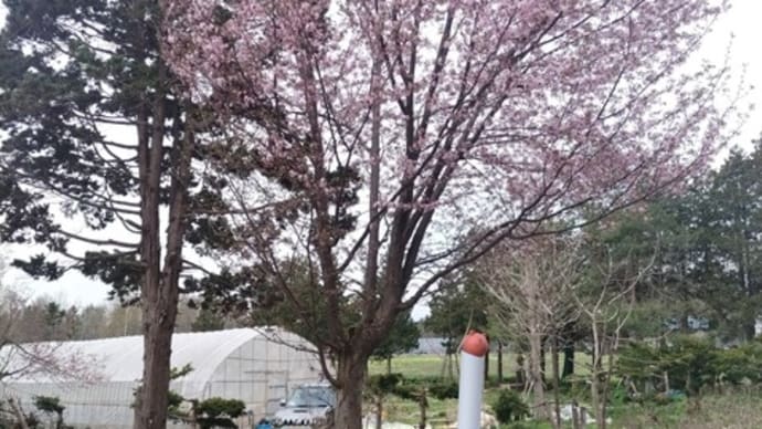 時代錯誤の「消滅可能性自治体」