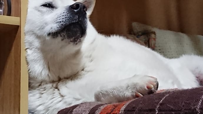 くつろぐ