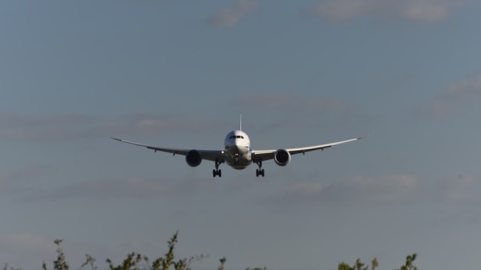 伊丹千里川土手 頭上を大型機が通り過ぎる迫力は最高🛬‼️