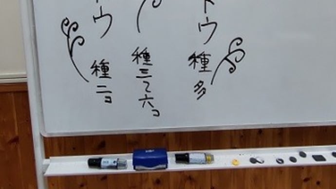 〝カラスノエンドウ〟と〝スズメノエンドウ〟の違いって?