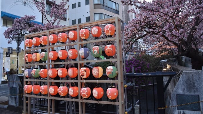 さくら狩り　静岡県熱海市銀座町　第14回あたみ桜糸川桜まつり（3）ライトアップ、始まってる