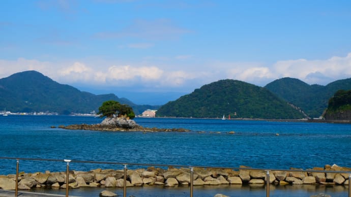 週末ダイビング　9月25日　平沢・淡島