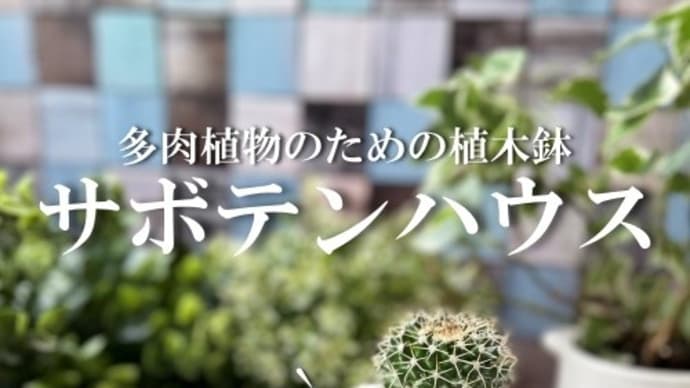 多肉植物のための植木鉢~サボテンハウス