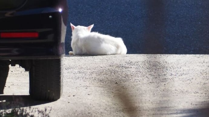 少し温かかった日に。