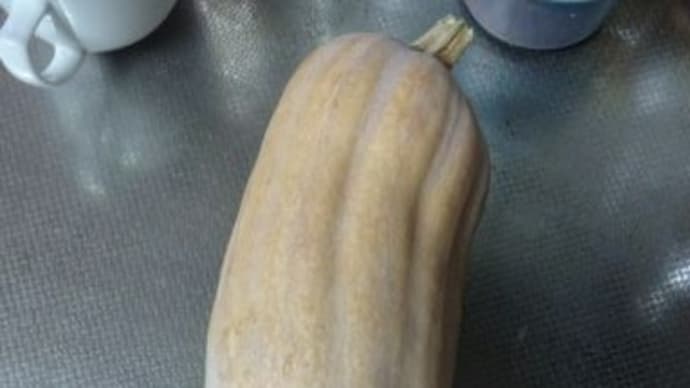 庭にひょうたんカボチャ