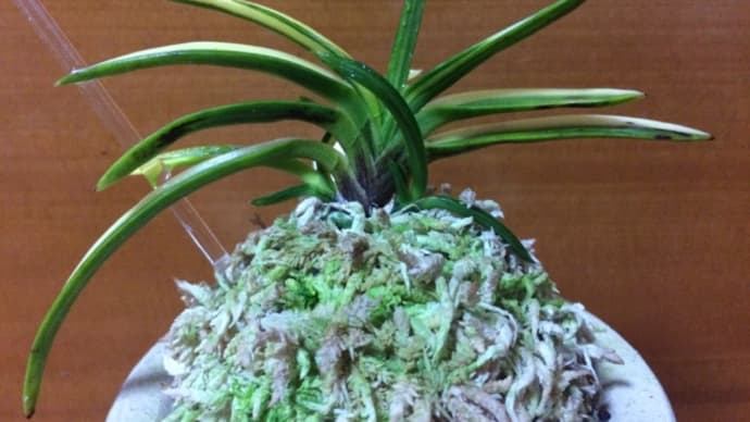 月破