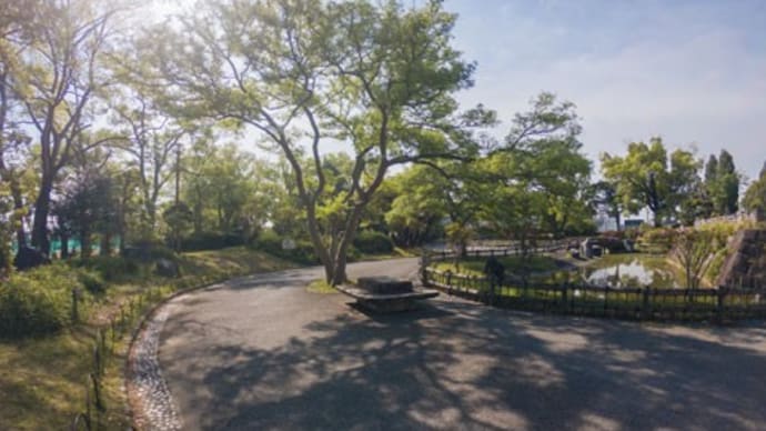 5月のGoPro朝散歩