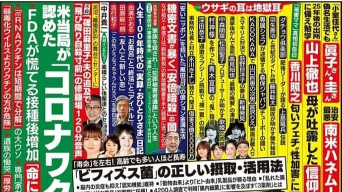 日本初、NESARA-GESARAに言及した斎藤新緑議員