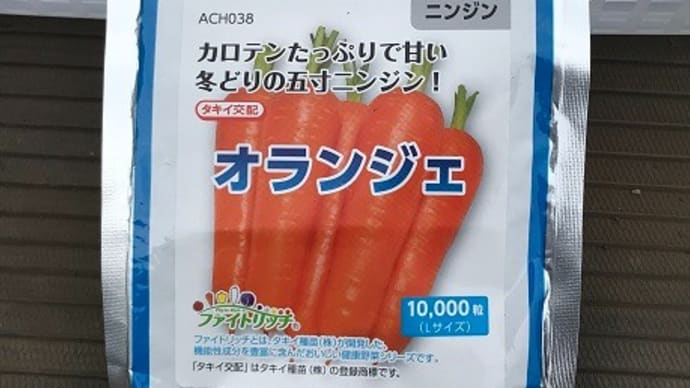 Hilo’s Farm 秋冬野菜の種蒔き