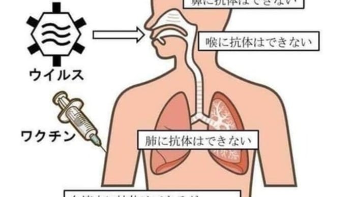 「どうする日本？mRNAワクチン問題」東北有志医師の会