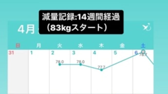 今日の筋トレ【脚・肩リア】〜2024.4.23〜