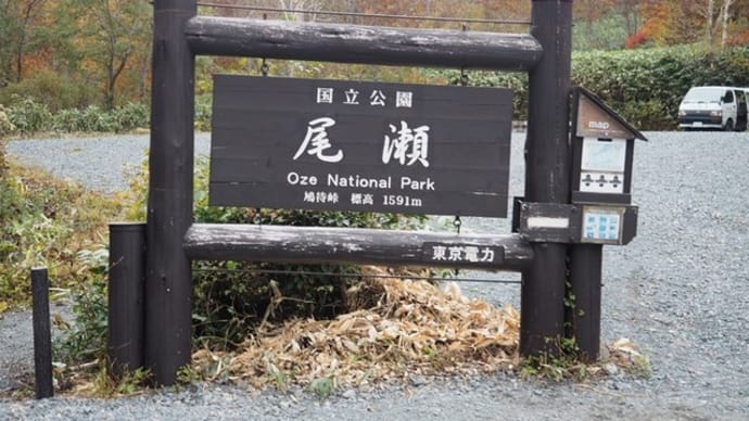 草紅葉と紅葉に染まる尾瀬・・・鳩待峠から山の鼻